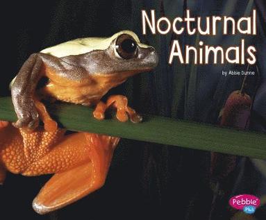 bokomslag Nocturnal Animals