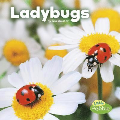 Lisa J. Amstutz, Lisa J Amstutz - Ladybugs, Häftad