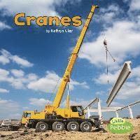 Cranes 1