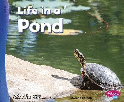 Life in a Pond 1