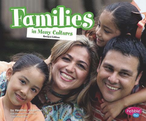 Heather Adamson - Families in Many Cultures, Häftad