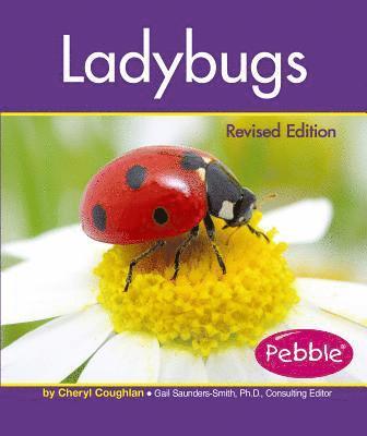 Ladybugs 1