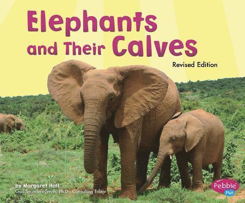 Elephants and Their Calves 1