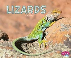 Lizards 1