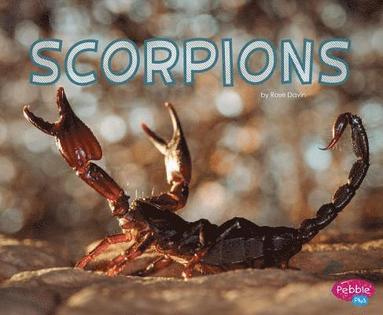 bokomslag Scorpions