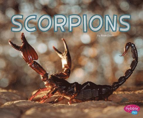 Scorpions 1