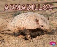 bokomslag Armadillos