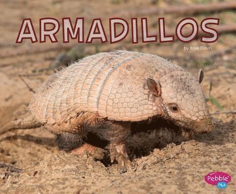 Armadillos 1