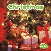 Lisa J. Amstutz - Christmas, Inbunden