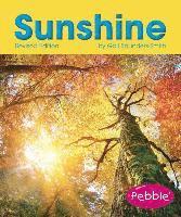 Gail Saunders-Smith - Sunshine, Häftad