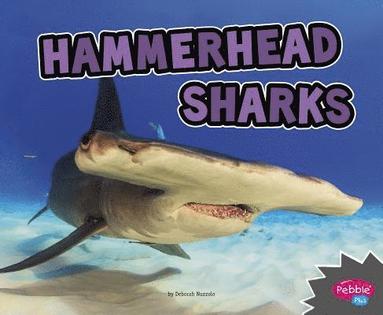 bokomslag Hammerhead Sharks