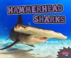 Hammerhead Sharks 1