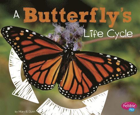 A Butterfly's Life Cycle 1