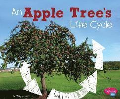 bokomslag An Apple Tree's Life Cycle