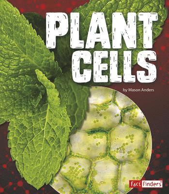 Plant Cells 1