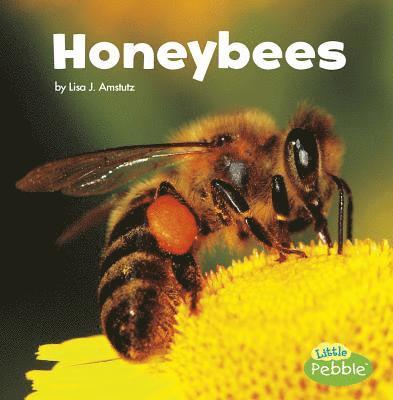Lisa J. Amstutz - Honeybees, Inbunden
