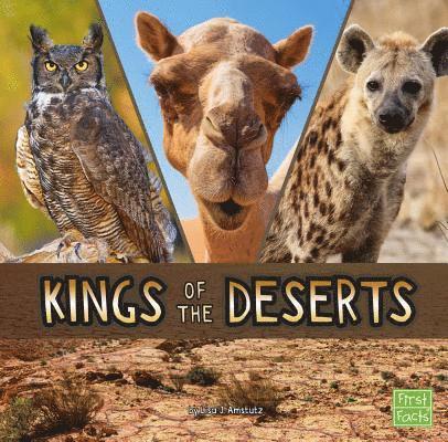 Lisa J. Amstutz - Kings of the Deserts, Inbunden