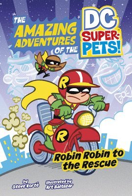 Robin Robin to the Rescue 1