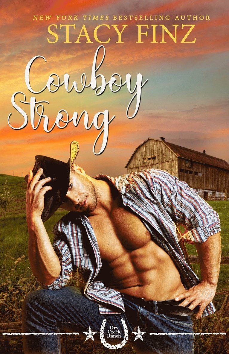Stacy Finz - Cowboy Strong, Häftad