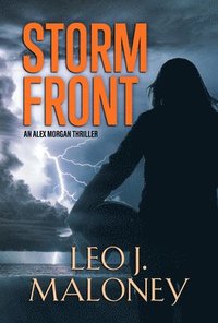 bokomslag Storm Front