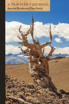 bokomslag Ancient Bristlecone Pine Forest: A Traveler's Journal