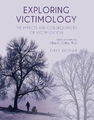 bokomslag Exploring Victimology