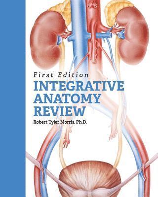 Integrative Anatomy Review 1