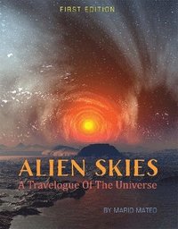 bokomslag Alien Skies