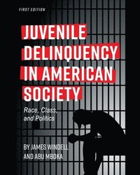 bokomslag Juvenile Delinquency in American Society