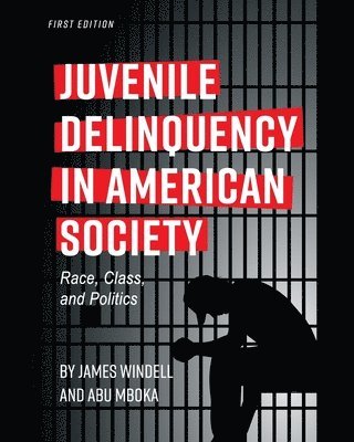 bokomslag Juvenile Delinquency in American Society