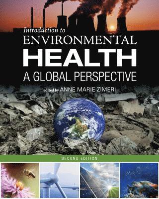 bokomslag Introduction to Environmental Health: A Global Perspective