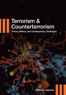 bokomslag Terrorism and Counterterrorism