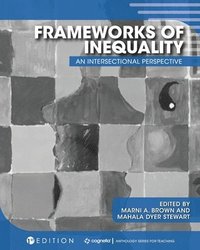 bokomslag Frameworks of Inequality