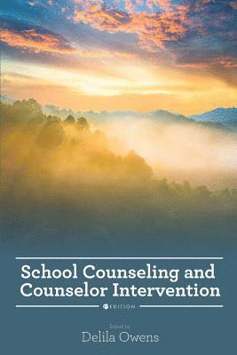 bokomslag School Counseling and Counselor Intervention