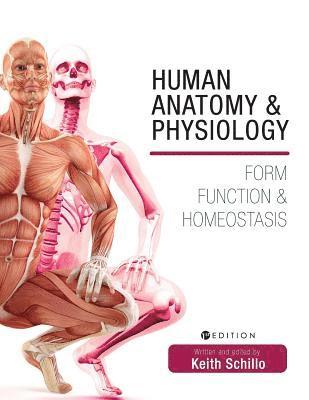 bokomslag Human Anatomy and Physiology