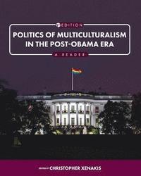 bokomslag Politics of Multiculturalism in the Post-Obama Era