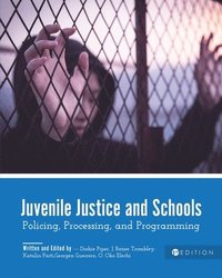 bokomslag Juvenile Justice and Schools