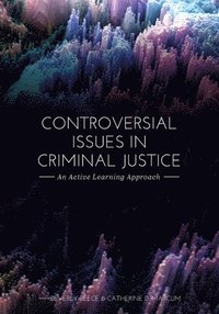bokomslag Controversial Issues in Criminal Justice