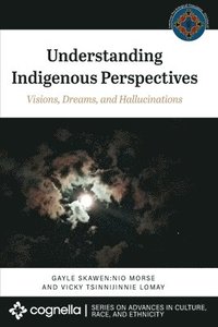 bokomslag Understanding Indigenous Perspectives