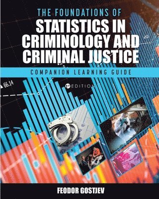 Feodor Gostjev - Foundations of Statistics in Criminology and Criminal Justice: CLG, Häftad