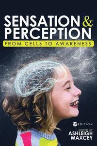 bokomslag Sensation and Perception: From Cells to Awareness