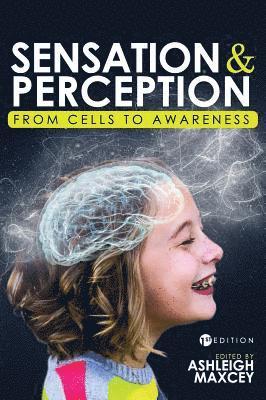 bokomslag Sensation and Perception