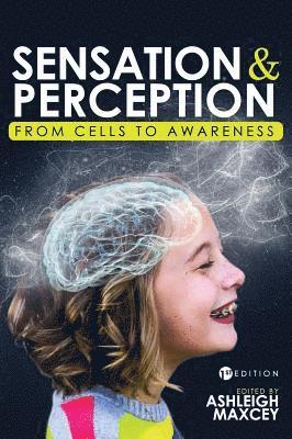 bokomslag Sensation and Perception: From Cells to Awareness