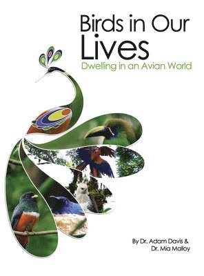 Adam Davis - Birds in Our Lives, Inbunden