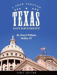 bokomslag A Trek through Texas Government