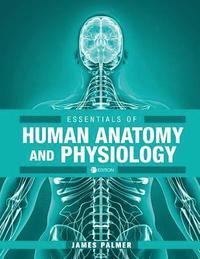 bokomslag Essentials of Human Anatomy and Physiology