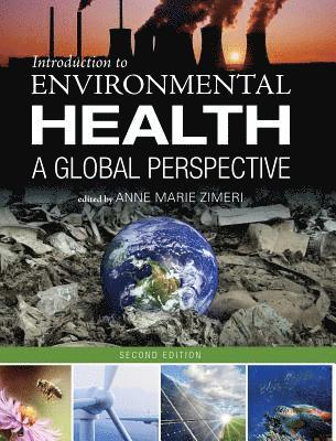 bokomslag Introduction to Environmental Health: A Global Perspective