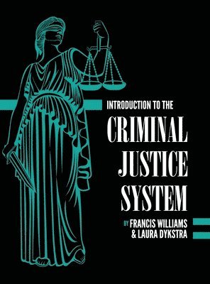 bokomslag Introduction to the Criminal Justice System: A Practical Perspective