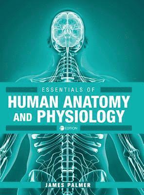 bokomslag Essentials of Human Anatomy and Physiology