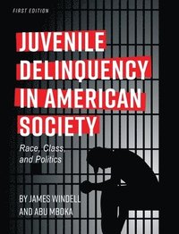 bokomslag Juvenile Delinquency in American Society